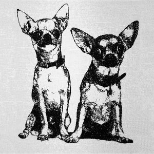 Chihuahuas